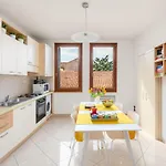 Apartmán Convenient In